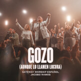 Gozo (Aunque Lo Llamen Locura)