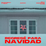 Regresé Para Navidad