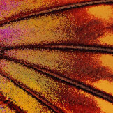 Jesus Changes Everything / Exalted One