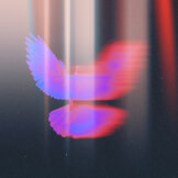 Shadow of Your Wings