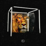 Te Estamos Esperando