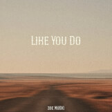 LIKE YOU DO