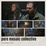 Pure Mosaic Collective, Vol. 1 (Acoustic)