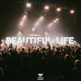 Beautiful Life
