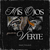 Mis Ojos Quieren Verte