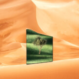 That's How I Know You