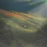 Dwell (Take Residence)