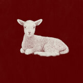 Blessed Exchange (Amazing Grace)