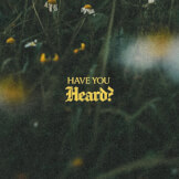 Have You Heard?