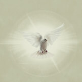 Spirit Breathe