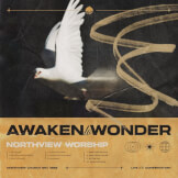 Awaken to Wonder (Live at the Conservatory)