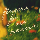 Flowers For No Reason