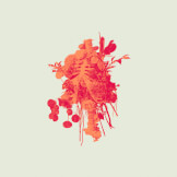 Graves Into Gardens: Morning & Evening