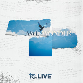 Awe and Wonder (feat. Andy Curtis) By TC3 Worship