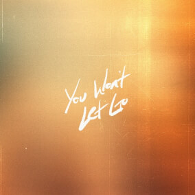 You Won't Let Go (Live) Por Bryan McCleery