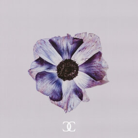 Fight For Love 으로 Evan Ford