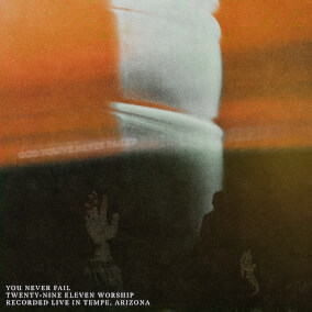 You Never Fail (feat. Emily Guy) [Live] Oleh 29:11 Worship