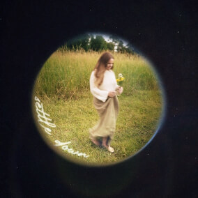 Settle Down Oleh Kirby Kaple