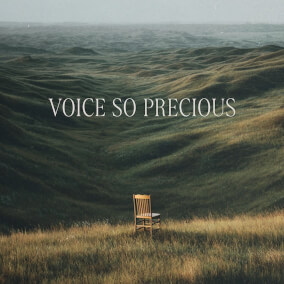 Voice So Precious
