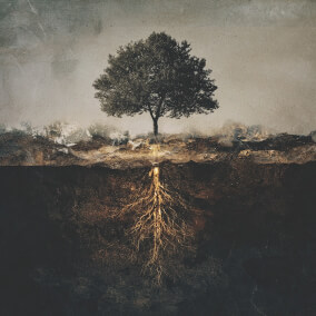 Bless The Lamb Oleh Anthem Worship, CLINE, Mass Anthem