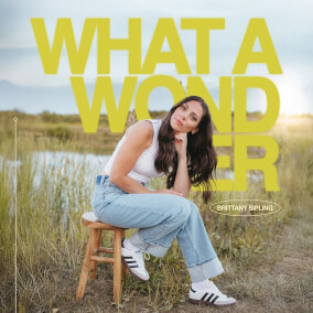 What a Wonder Por Brittany Sipling