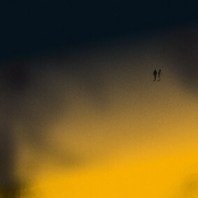 Every Night // Every Day