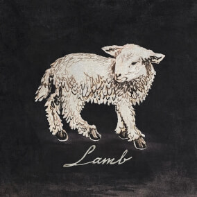 Lamb By Lifepoint Collective