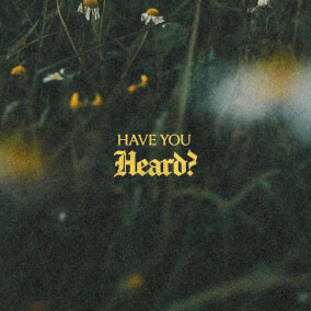 Have You Heard?