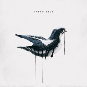 my year (radio edit) By Aaron Cole