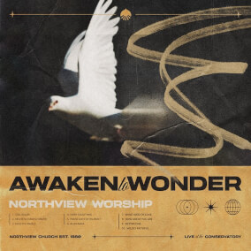Echo The Angels (Live) de Northview Worship