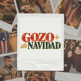 Gozo De Navidad