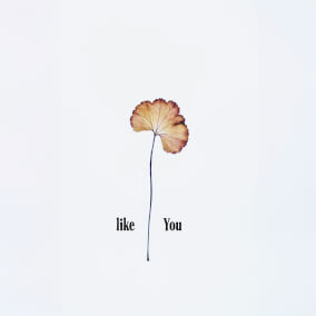 Like You