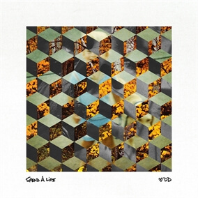 Spend A Life Por David Dunn