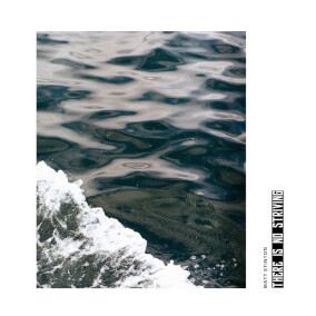 There Is No Striving Por Matt Stinton