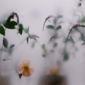 Temple By Harborside Music