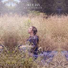 Blue Jay Oleh Katy Weirich