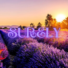 Surely Oleh Abi Oles