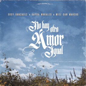 No Hay Otro Amor Igual By Susy Gonzalez