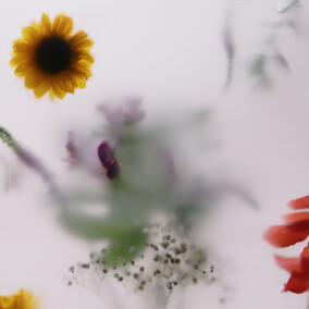 I'm Loved 으로 Harborside Music