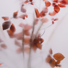 Prodigal By Harborside Music