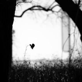 zzzzaaak's test Por Bob Jones