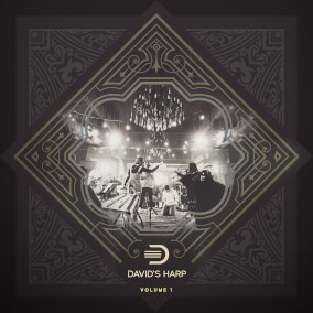 Right Response (Live) By David's Harp