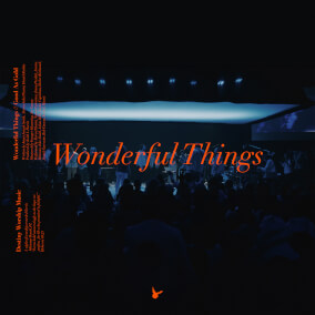 Wonderful Things