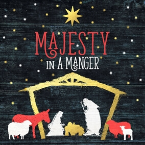 Majesty In a Manger By Greg Sykes