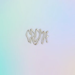 DESAPARECIDOS By Nate Diaz