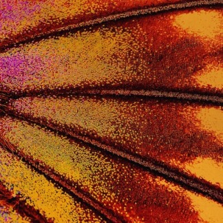 Jesus Changes Everything / Exalted One