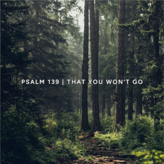 Psalm 139 (That You Won't Go)