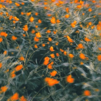 Forever With You (Freestyle Session)