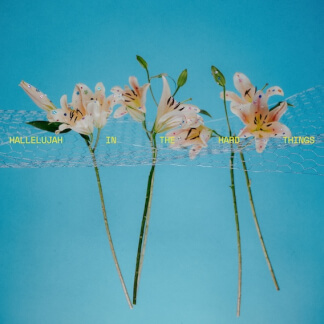 Hallelujah In The Hard Things