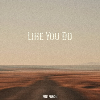 LIKE YOU DO